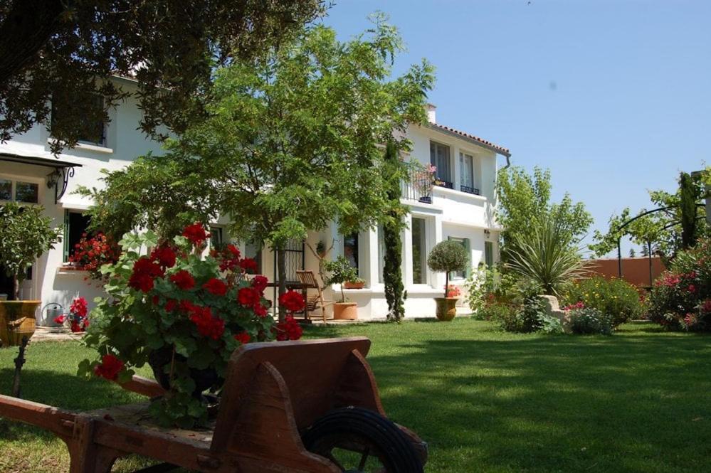 Chambre Seville - Mas Saint-Louis - Piscine Chauffee Aigues-Mortes Exteriör bild